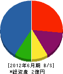 東京ネオン電気 貸借対照表 2012年6月期