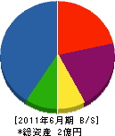 佐々木総業 貸借対照表 2011年6月期