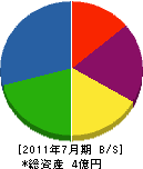 芹澤商店 貸借対照表 2011年7月期