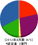 藤巻電業 貸借対照表 2012年4月期