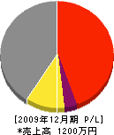 平田畳襖店 損益計算書 2009年12月期