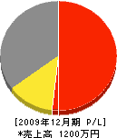田島建築 損益計算書 2009年12月期