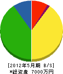 古川電機商会 貸借対照表 2012年5月期