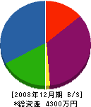 三國電機商会 貸借対照表 2008年12月期