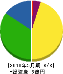会津建設 貸借対照表 2010年5月期