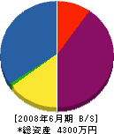 川崎左官工業所 貸借対照表 2008年6月期