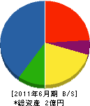 竹内組 貸借対照表 2011年6月期