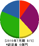 阪商 貸借対照表 2010年7月期