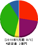津田組 貸借対照表 2010年5月期