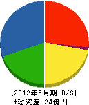 小沢工業 貸借対照表 2012年5月期