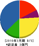 池田町森林組合 貸借対照表 2010年3月期