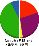 富山石材工業所 貸借対照表 2010年5月期