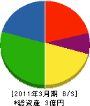 関根水道工業所 貸借対照表 2011年3月期