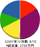 太田海洋 貸借対照表 2007年12月期