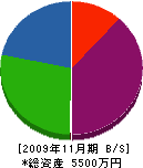 安田電機工業所 貸借対照表 2009年11月期
