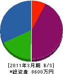 武田花光園 貸借対照表 2011年3月期