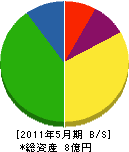 小浜開発 貸借対照表 2011年5月期