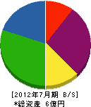 阪商 貸借対照表 2012年7月期