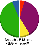 醍醐総業 貸借対照表 2008年9月期