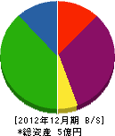 菅井商建 貸借対照表 2012年12月期