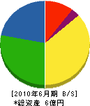 野崎組 貸借対照表 2010年6月期