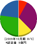 大阪石材工業 貸借対照表 2009年10月期