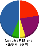 須山商会 貸借対照表 2010年3月期
