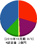 早川工務店 貸借対照表 2010年10月期