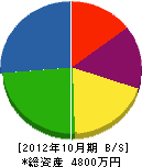 佐野電気商会 貸借対照表 2012年10月期