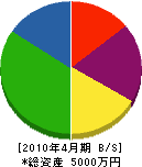 菅設備 貸借対照表 2010年4月期