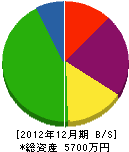 佐々木電気 貸借対照表 2012年12月期