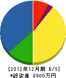 桜建設 貸借対照表 2012年12月期