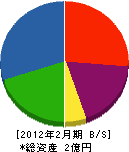 新川産業 貸借対照表 2012年2月期