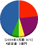 須山商会 貸借対照表 2009年3月期