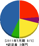 永井建設 貸借対照表 2011年5月期