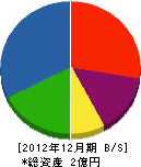 中井綜合建設 貸借対照表 2012年12月期