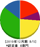 日本マーキング 貸借対照表 2010年12月期
