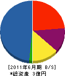 村田工務所 貸借対照表 2011年6月期