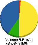 丸竹窯業 貸借対照表 2010年9月期