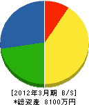 松江塗装 貸借対照表 2012年3月期