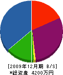 三國電機商会 貸借対照表 2009年12月期