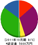 羽山電気 貸借対照表 2011年10月期
