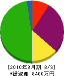 桜井住宅設備 貸借対照表 2010年3月期