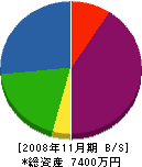 池田組 貸借対照表 2008年11月期