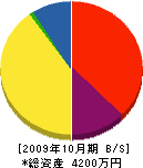 早川建設 貸借対照表 2009年10月期