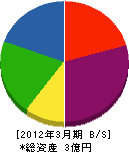 誠進開発 貸借対照表 2012年3月期