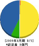 錦江建設 貸借対照表 2009年4月期