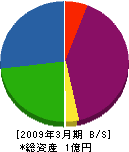 函館土木調査 貸借対照表 2009年3月期