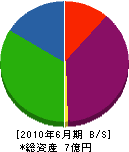 冨田工務店 貸借対照表 2010年6月期