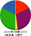 日南鉄構 貸借対照表 2010年9月期